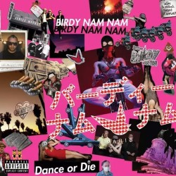 Birdy Nam Nam "Dance or die" Double Vinyle