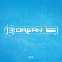 13 Organisé CD Plexi