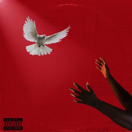 Che Noir "The Last Remnants" Vinyle Simple