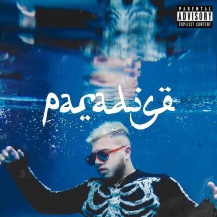 Hamza "Paradis" Cd Plexi
