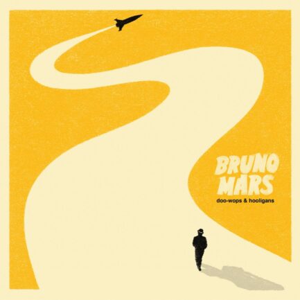 Bruno Mars "Doo-wops & Hooligans" Vinyle Simple