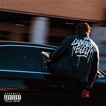 Isha "Labrador Bleu" Vinyle Simple