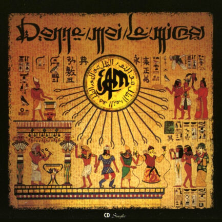 vinyle iam donne moi le micro