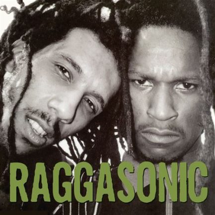 vinyle raggasonic raggasonic