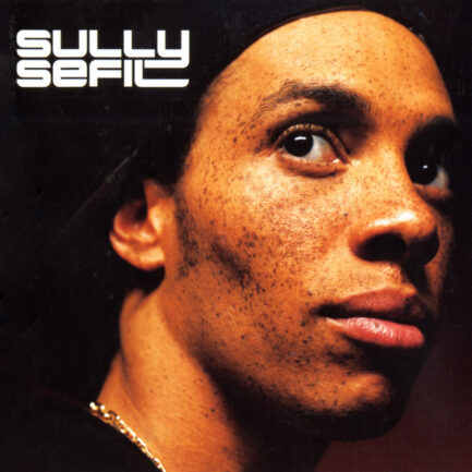 vinyle sully sefil sullysefilistic